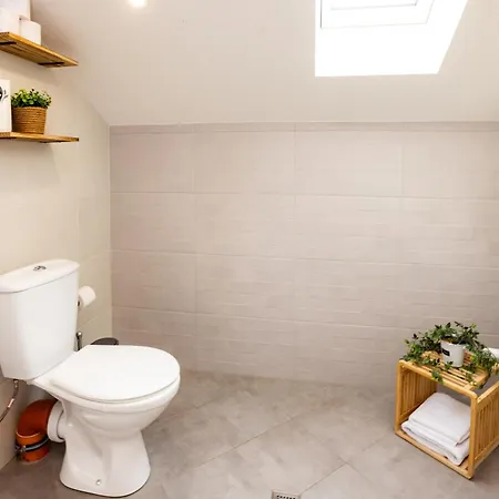 Malevitsa малевица