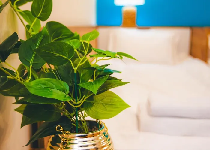 빌라 Malevitsa малевица *