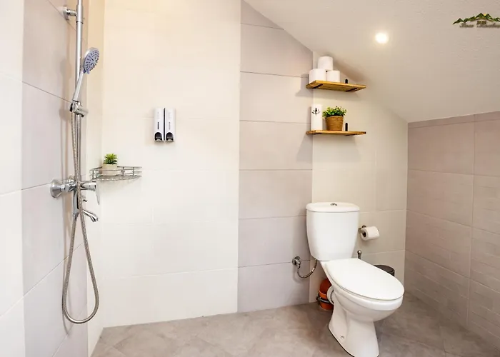 Malevitsa малевица *